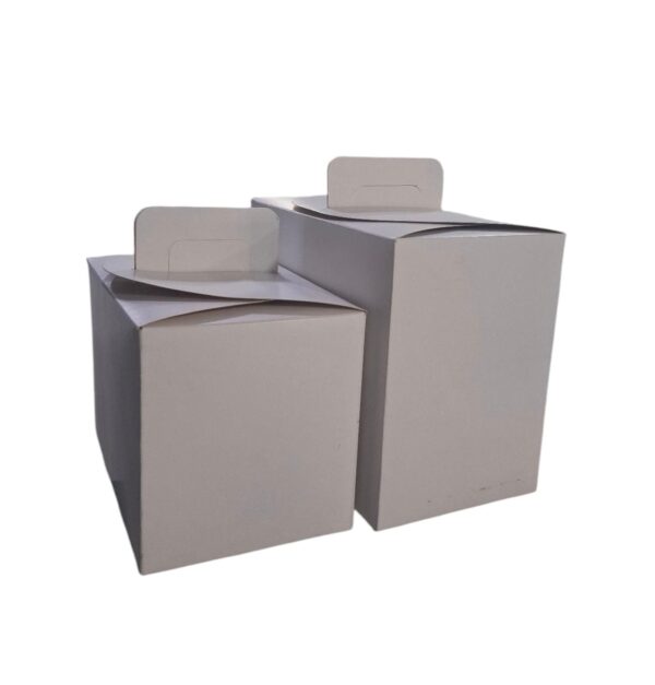 Caja para Lunch Paquete de 50 Piezas